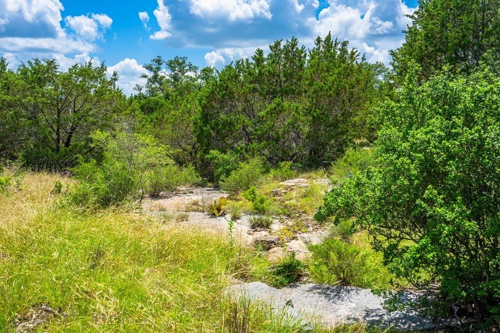 29.62 acres in Gillespie County - photo 13