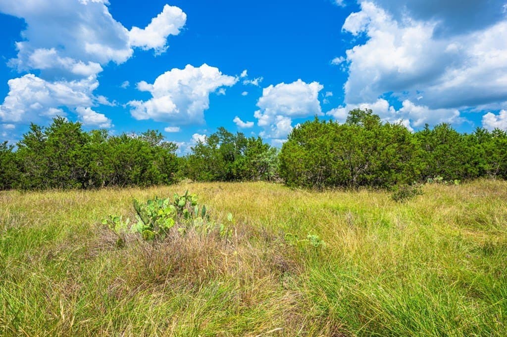 29.62 acres in Gillespie County - photo 12