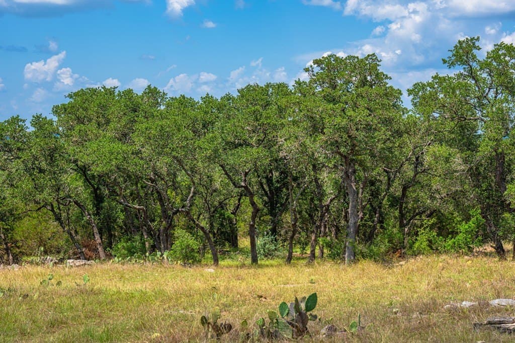 29.62 acres in Gillespie County - photo 11