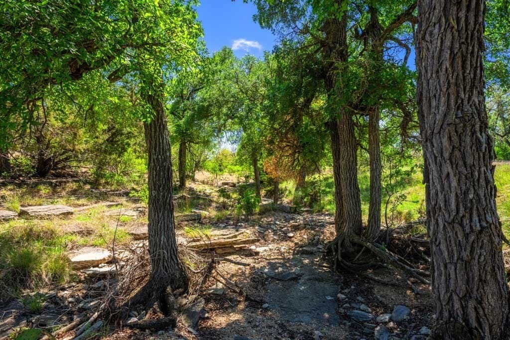 29.62 acres in Gillespie County - photo 9