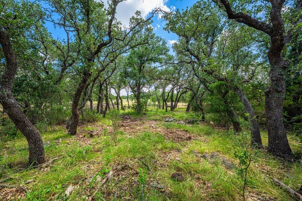 29.62 acres in Gillespie County - photo 10