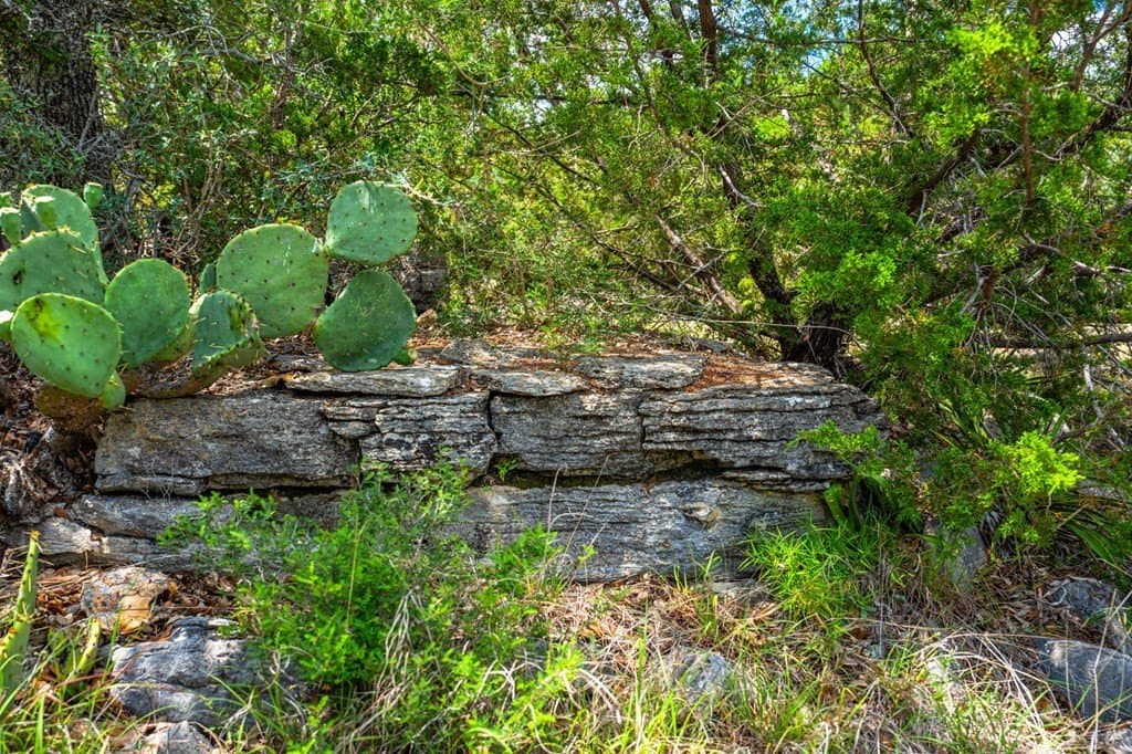 29.62 acres in Gillespie County - photo 18