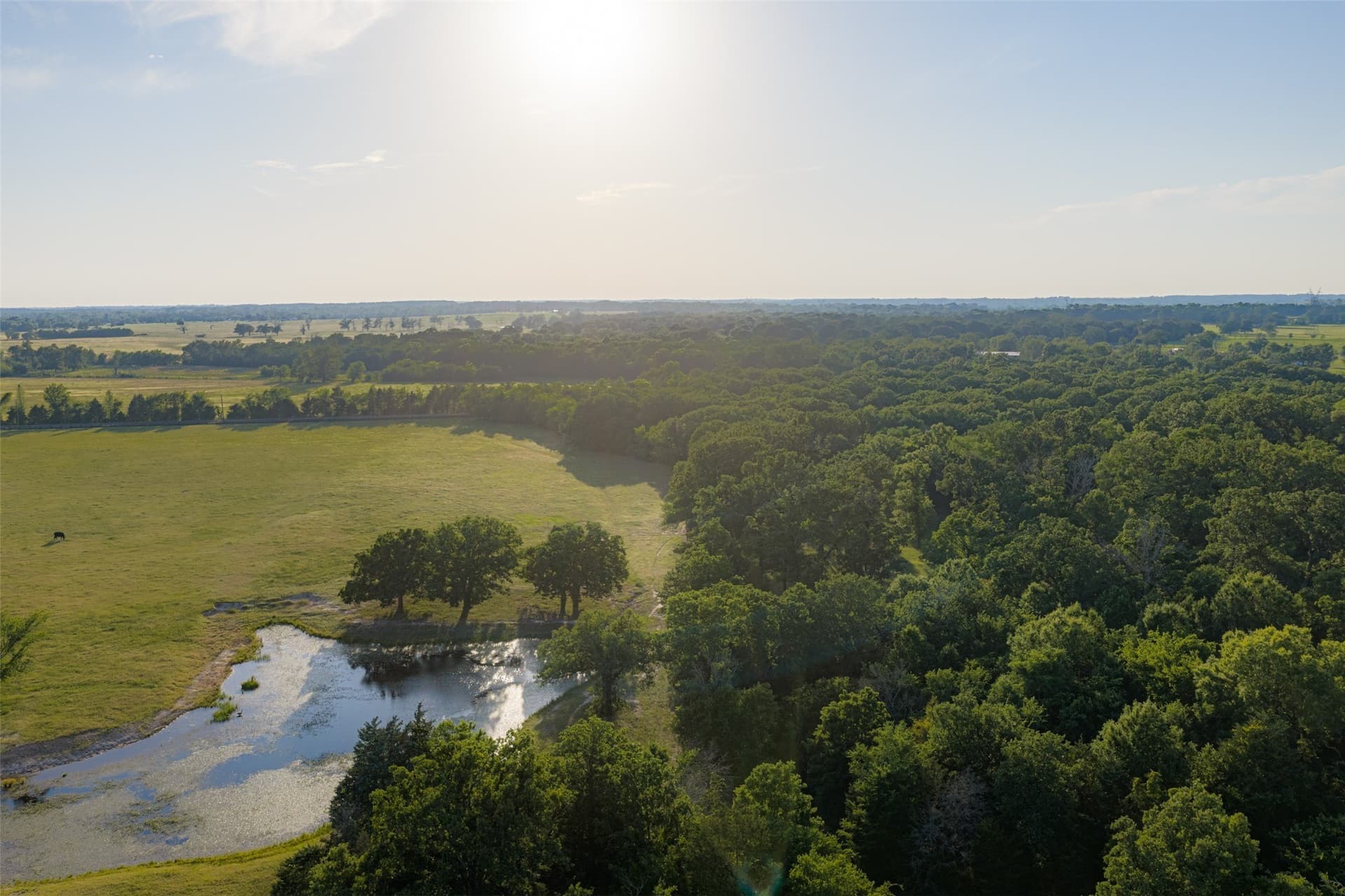 115.1 acres in Van Zandt County - photo 39