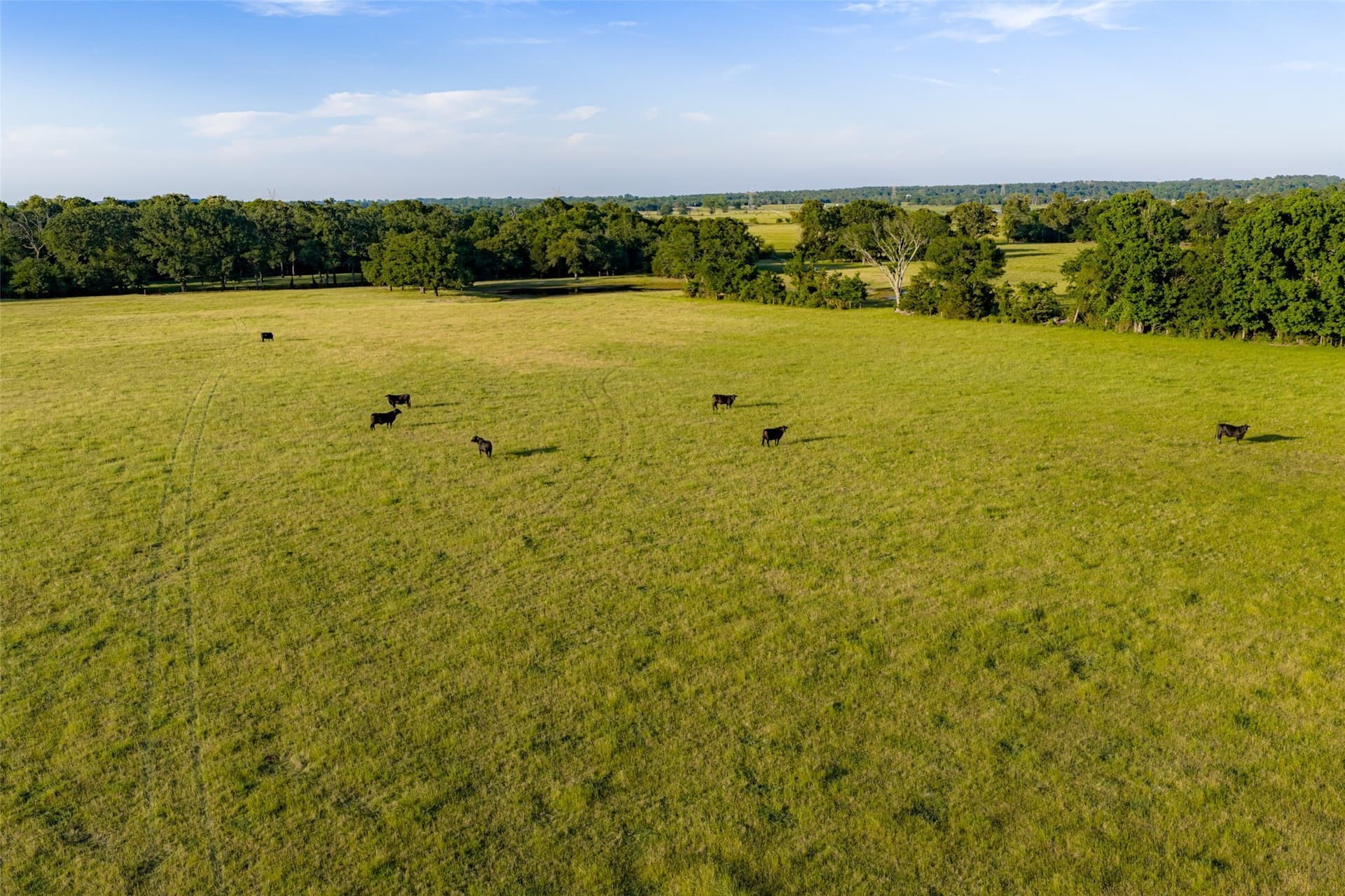 115.1 acres in Van Zandt County - photo 29