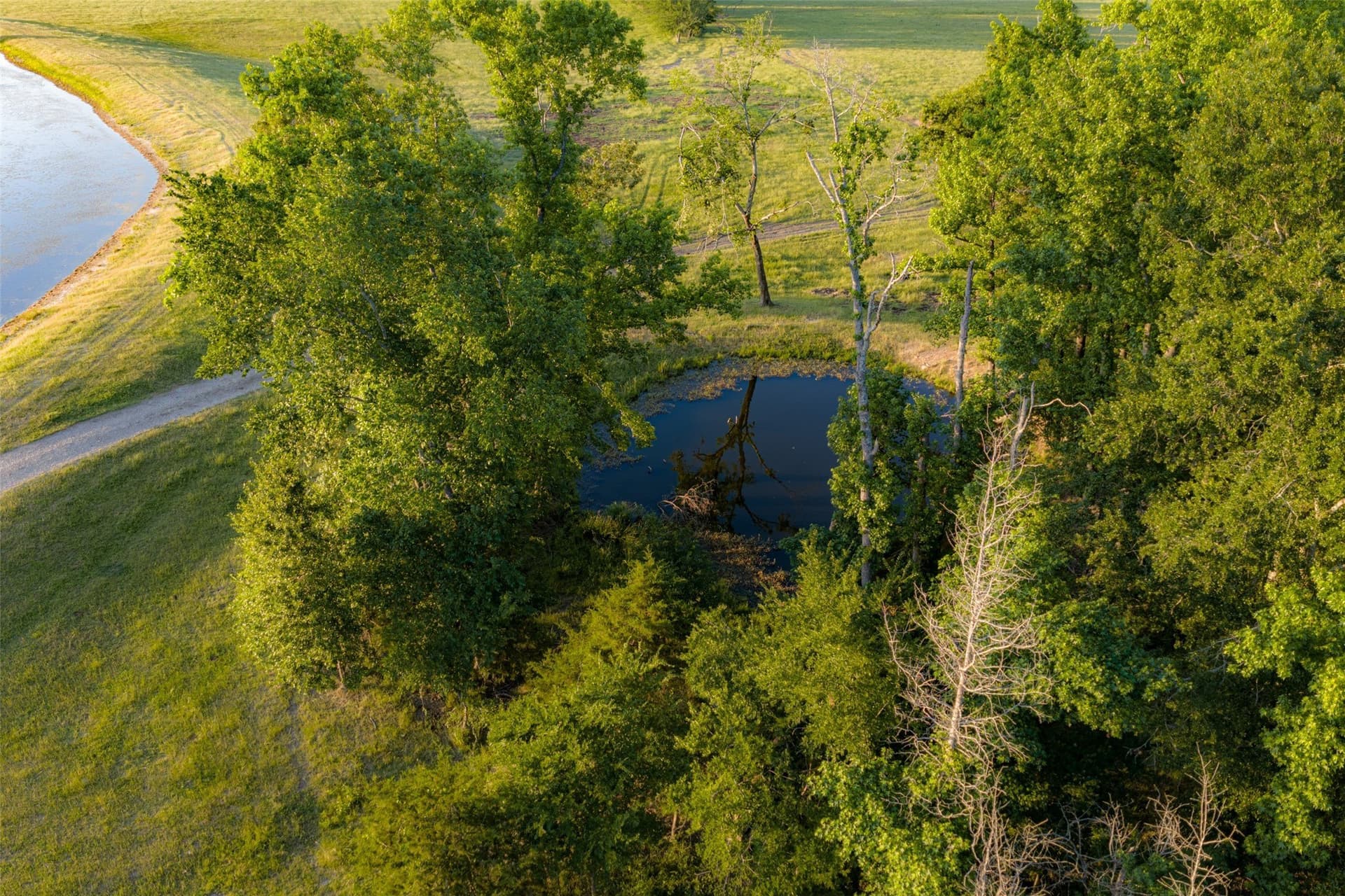 115.1 acres in Van Zandt County - photo 27