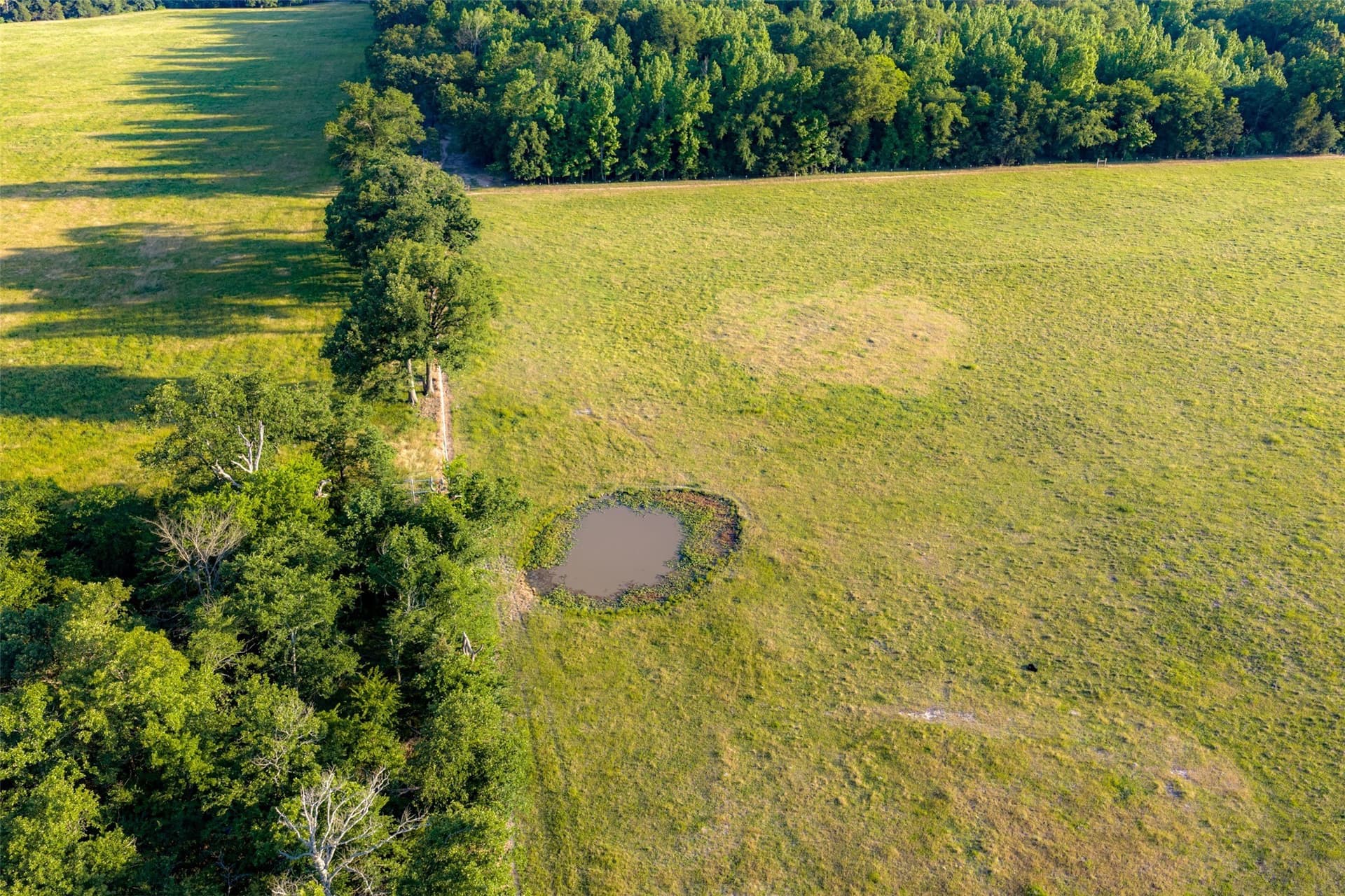 115.1 acres in Van Zandt County - photo 30
