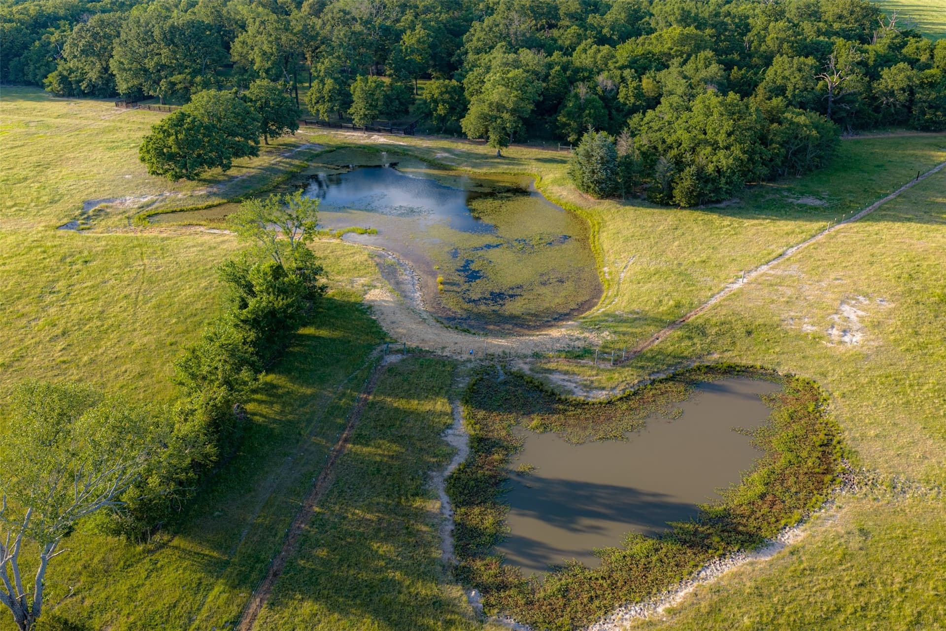 115.1 acres in Van Zandt County - photo 26
