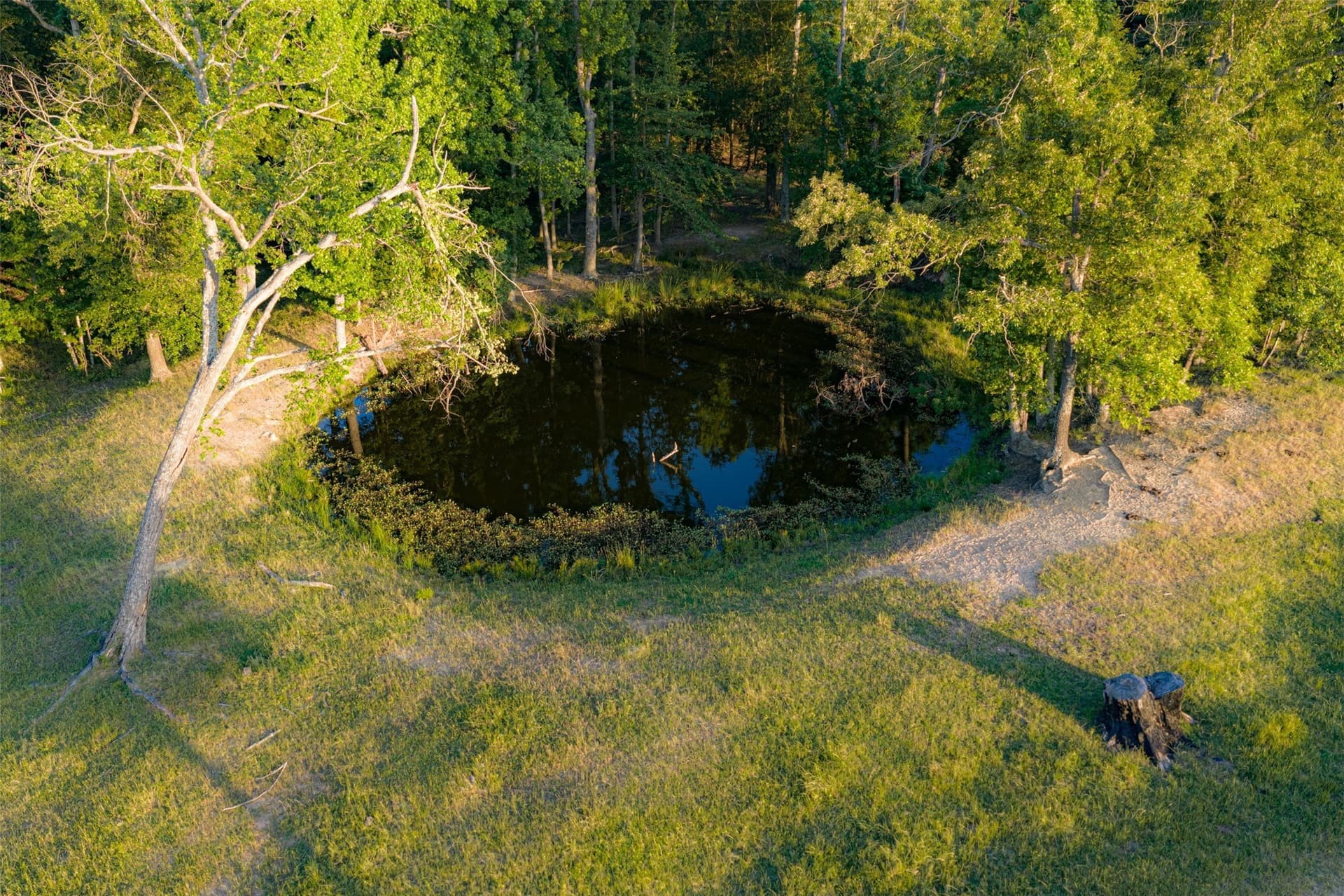 115.1 acres in Van Zandt County - photo 28