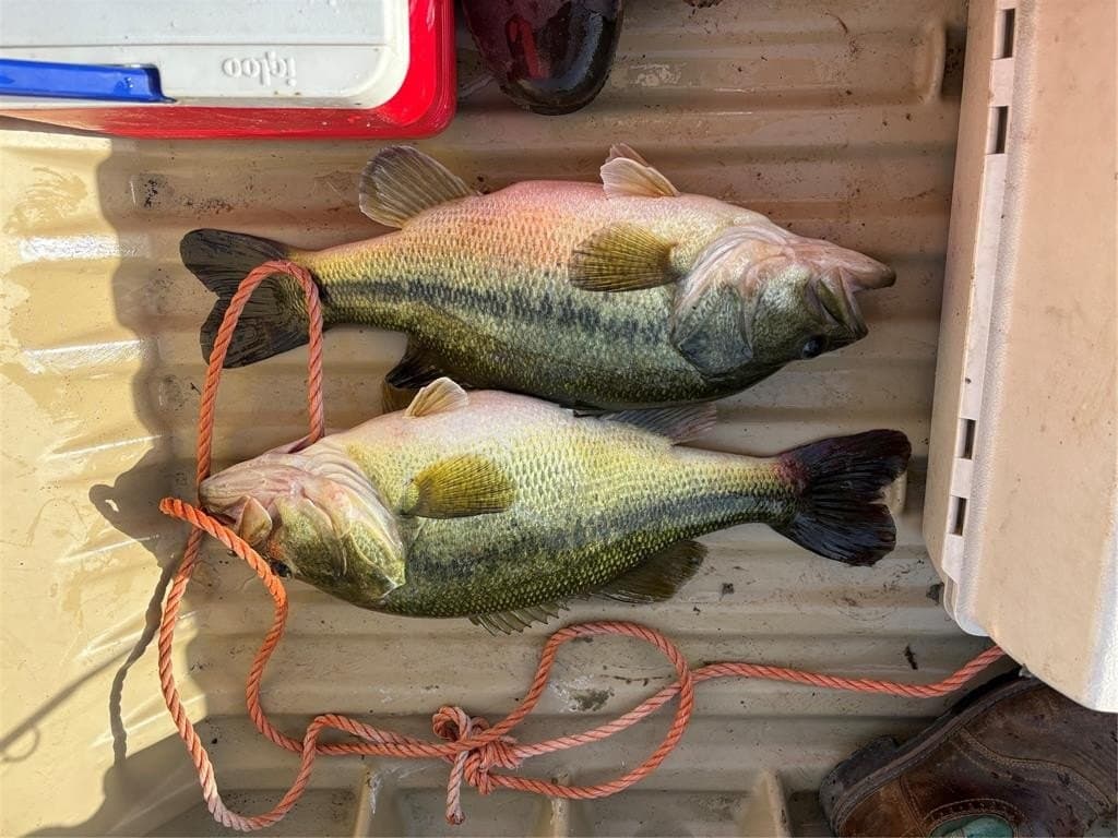 194 acres in Bosque County gallery image 2