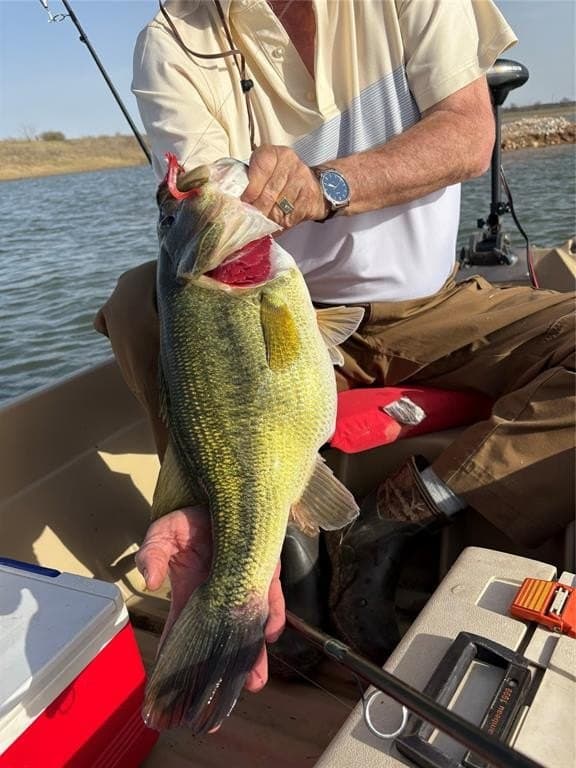 194 acres in Bosque County gallery image 3