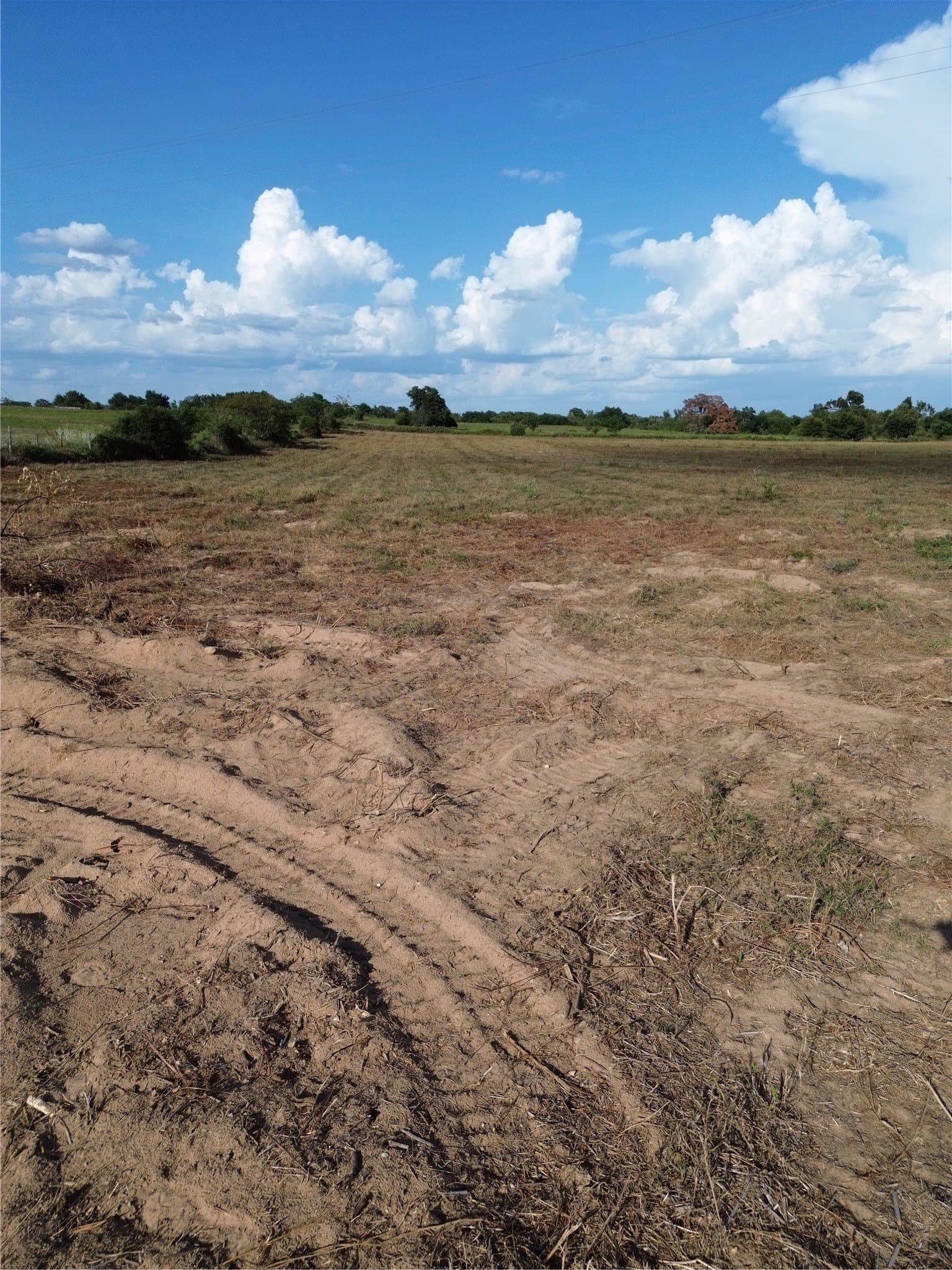 3.53 acres in Robertson County - photo 6