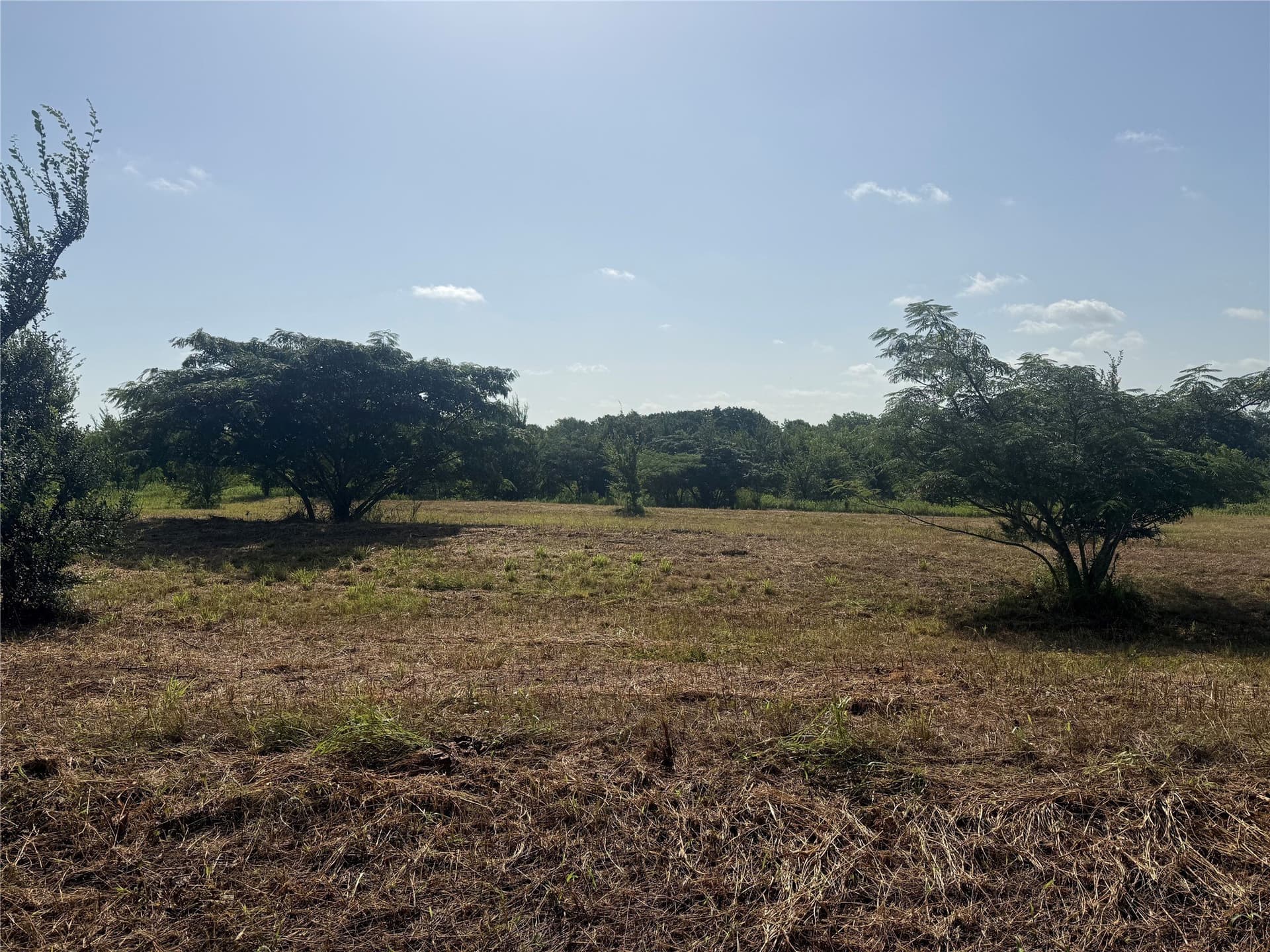 1 acres in Grayson County gallery image 2