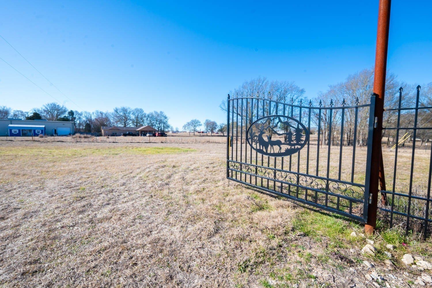1.15 acres in Henderson County gallery image 3