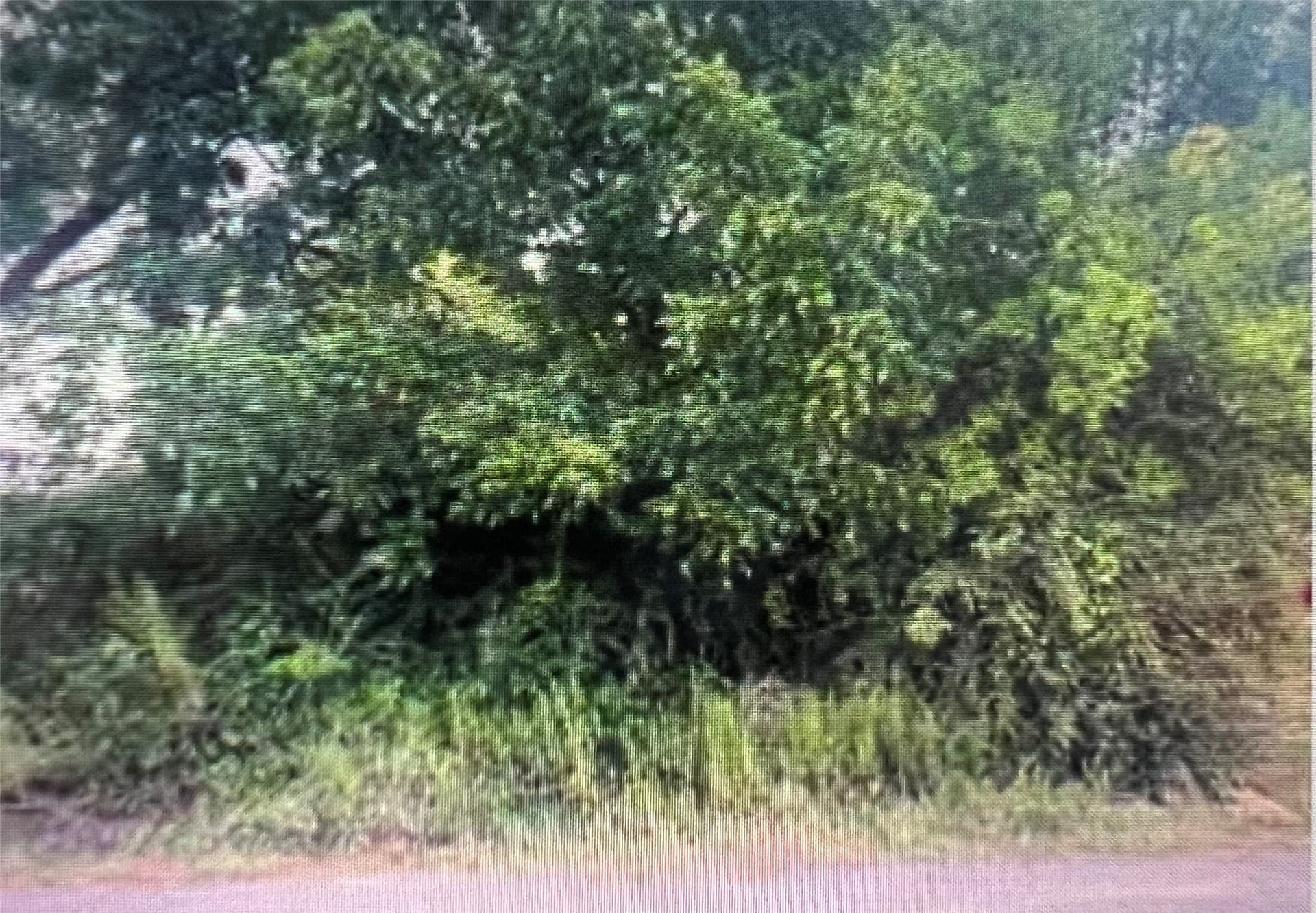 0.16 acres in Dallas County