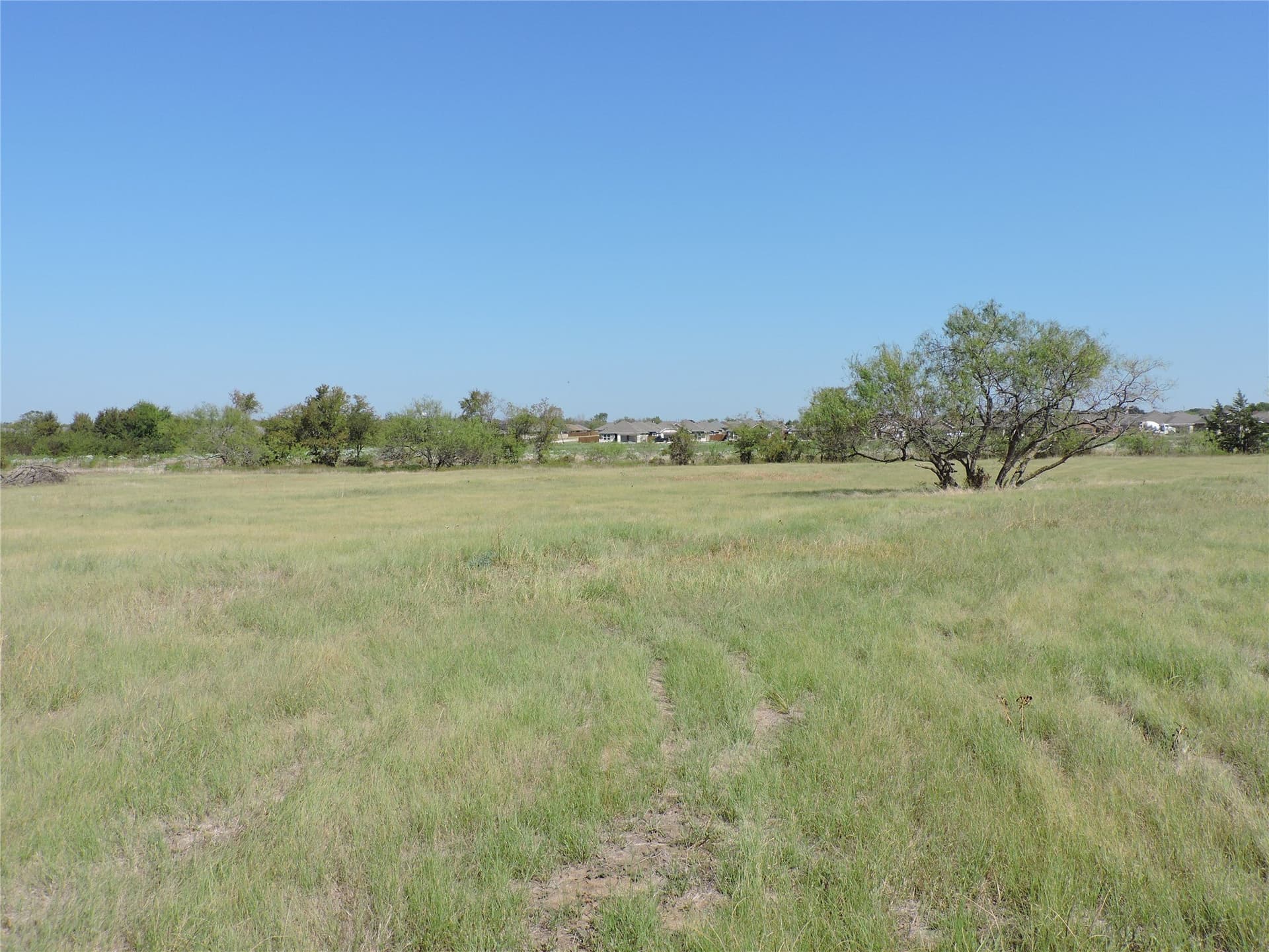 3.64 acres in Henderson County gallery image 3