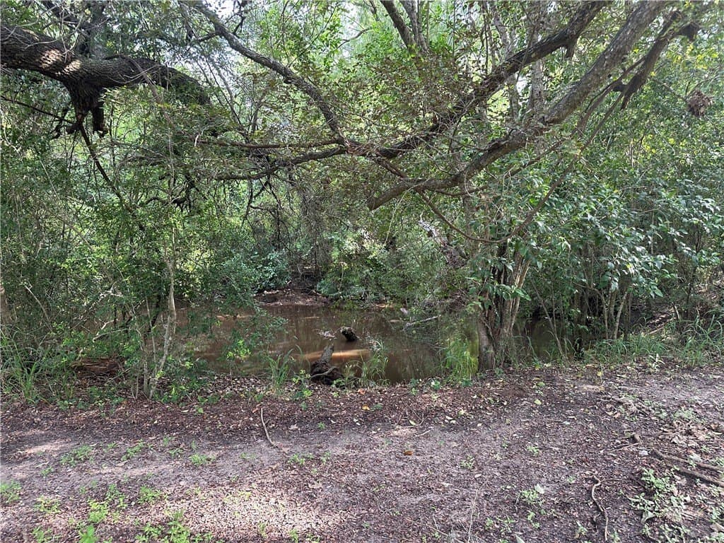 15.76 acres in Refugio County - photo 34