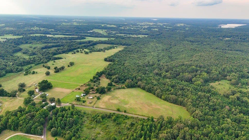 40 acres in Wood County - photo 15
