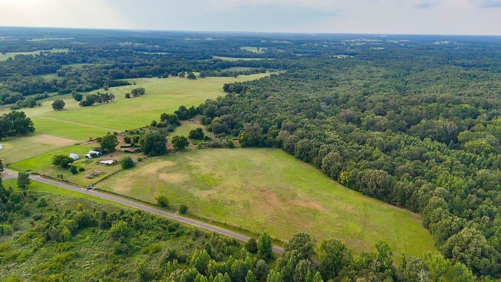 40 acres in Wood County - photo 23