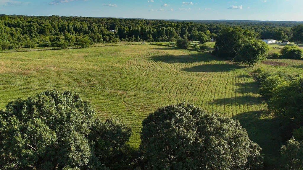 40 acres in Wood County - photo 9