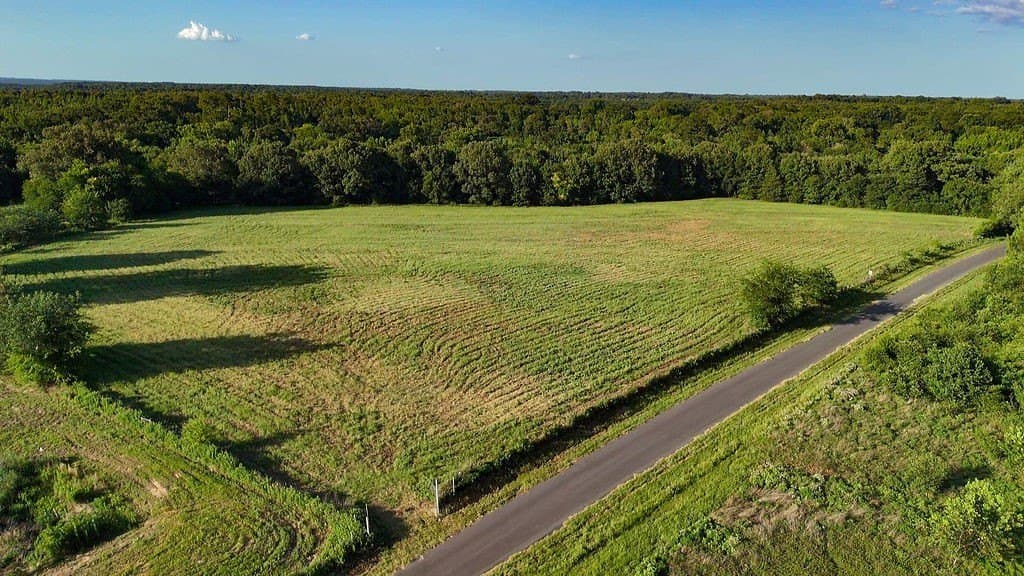 40 acres in Wood County - photo 10
