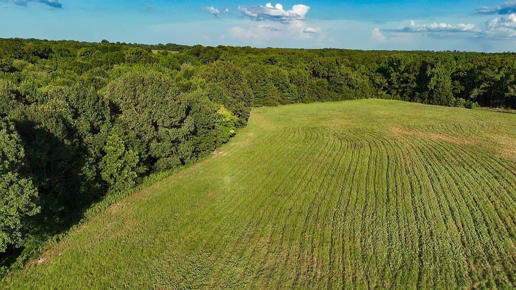 40 acres in Wood County - photo 8