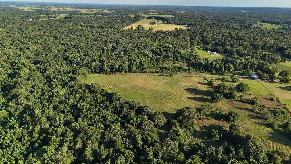 40 acres in Wood County - photo 7