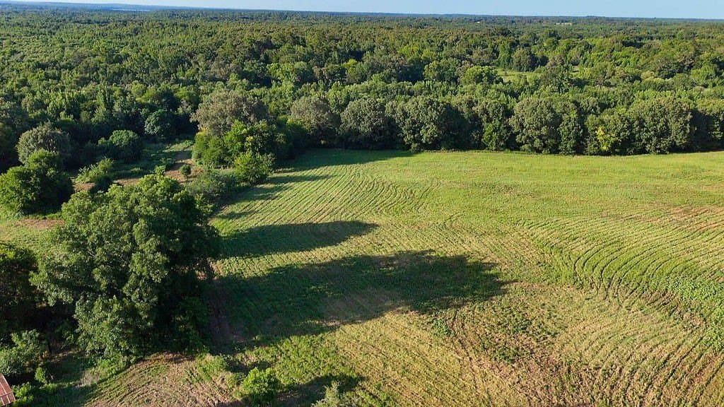 40 acres in Wood County - photo 12
