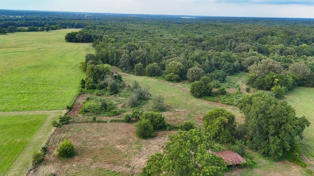 40 acres in Wood County - photo 25