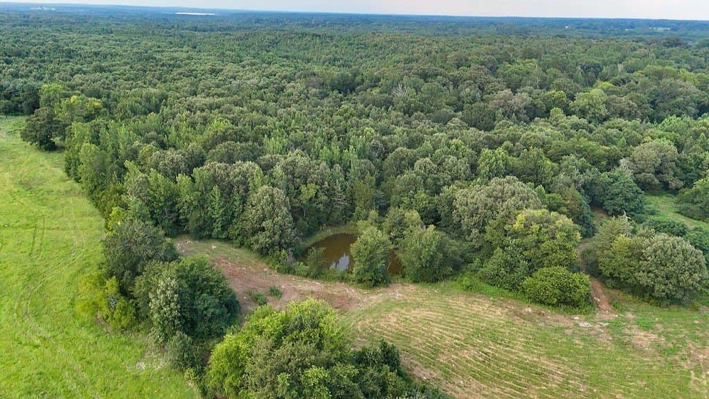 40 acres in Wood County - photo 26
