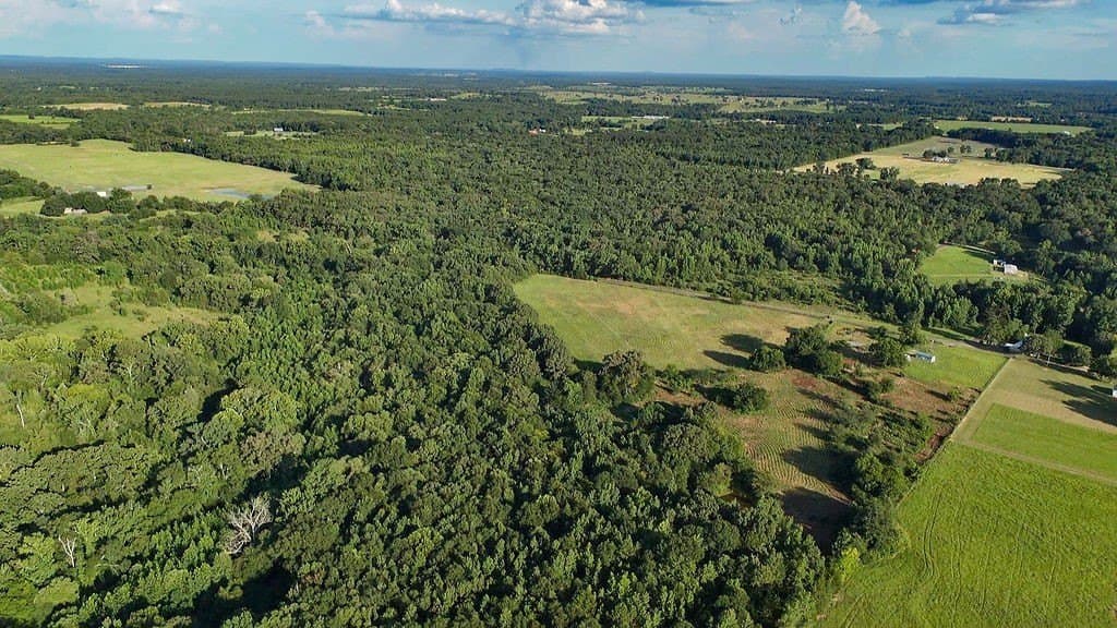 40 acres in Wood County - photo 6