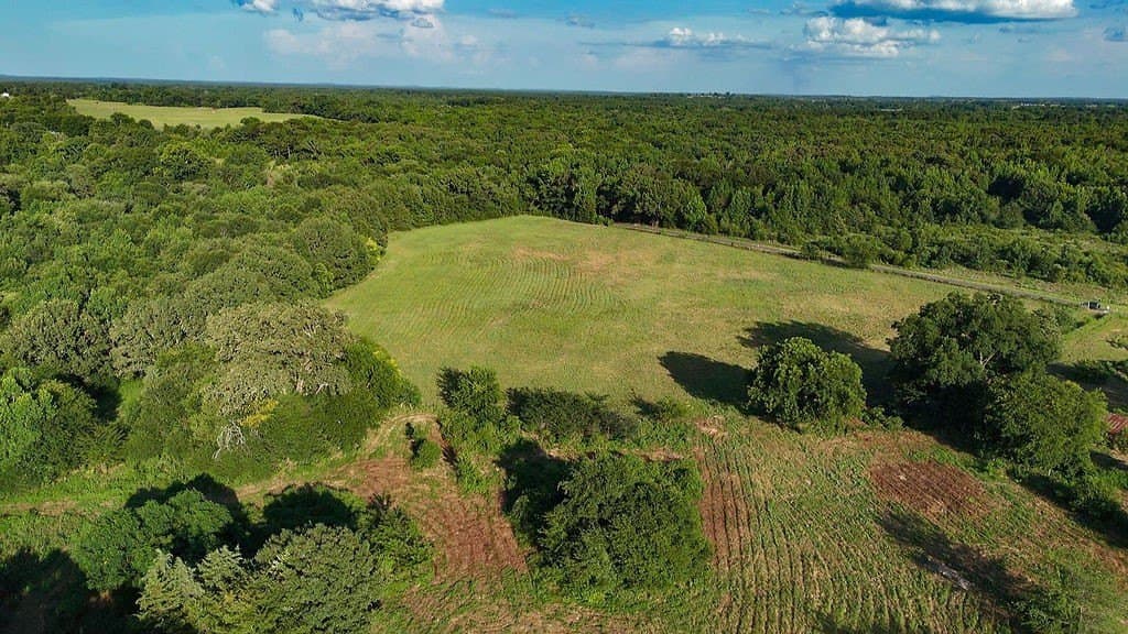 40 acres in Wood County - photo 2