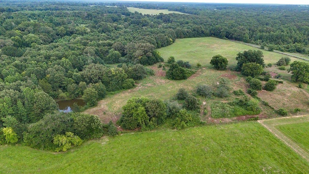 40 acres in Wood County - photo 27