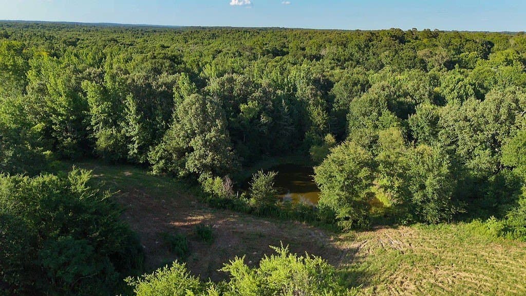40 acres in Wood County - photo 3