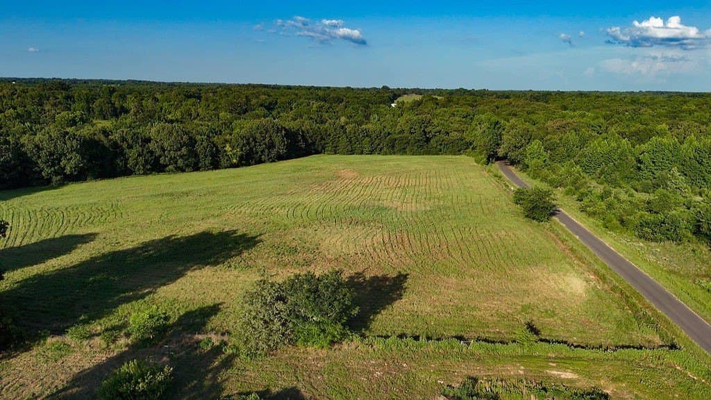 40 acres in Wood County - photo 11
