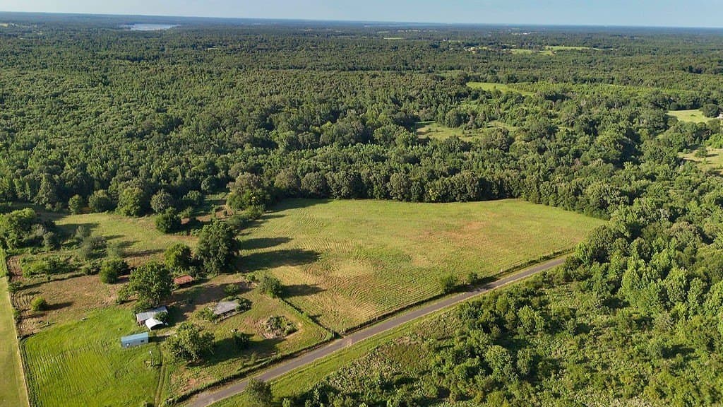 40 acres in Wood County - photo 4