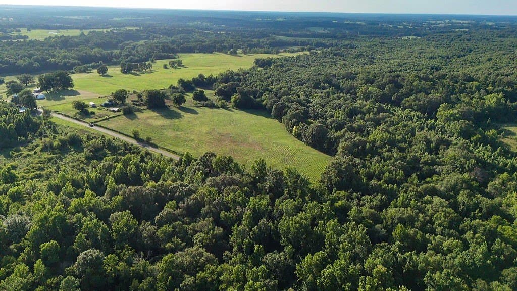 40 acres in Wood County - photo 13