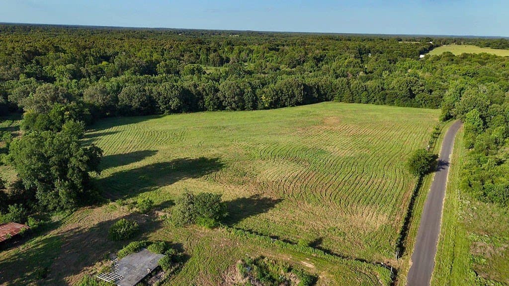 40 acres in Wood County - photo 5