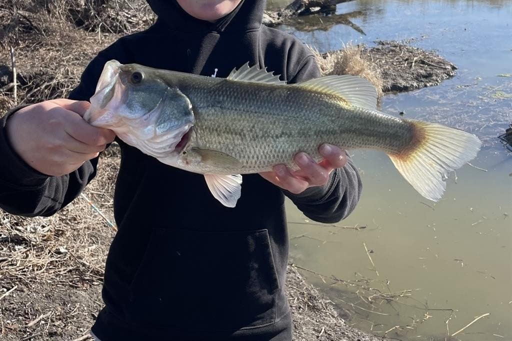 14 acres in Rockwall County gallery image 3