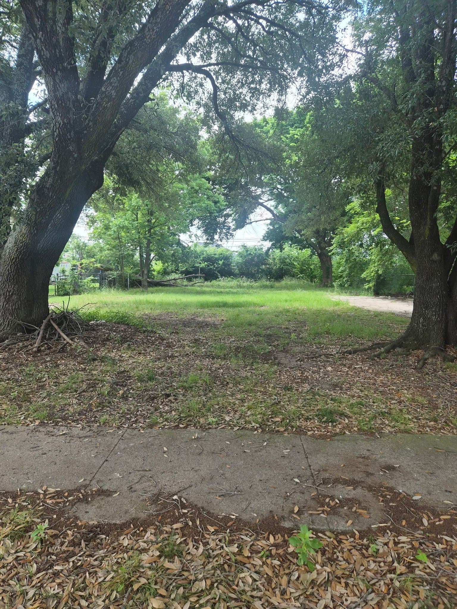 0.19 acres in Hunt County - photo 3