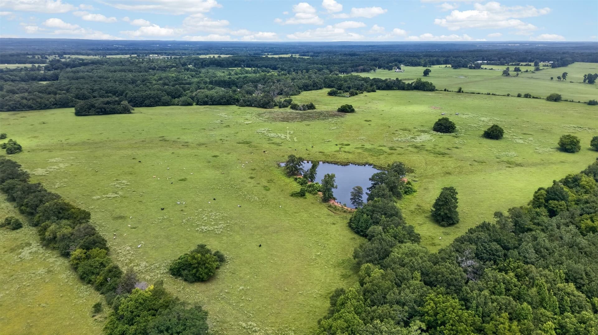 164 acres in Cherokee County gallery image 4