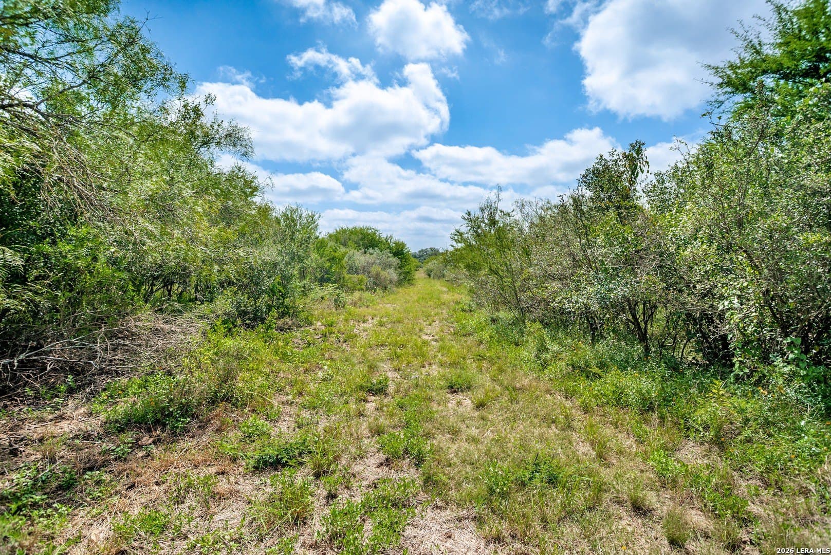 23.66 acres in Uvalde County - photo 8