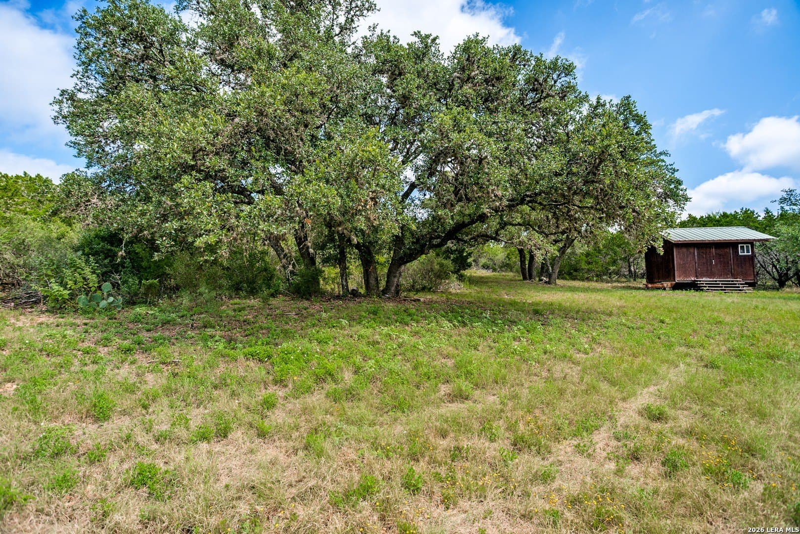 23.66 acres in Uvalde County gallery image 2