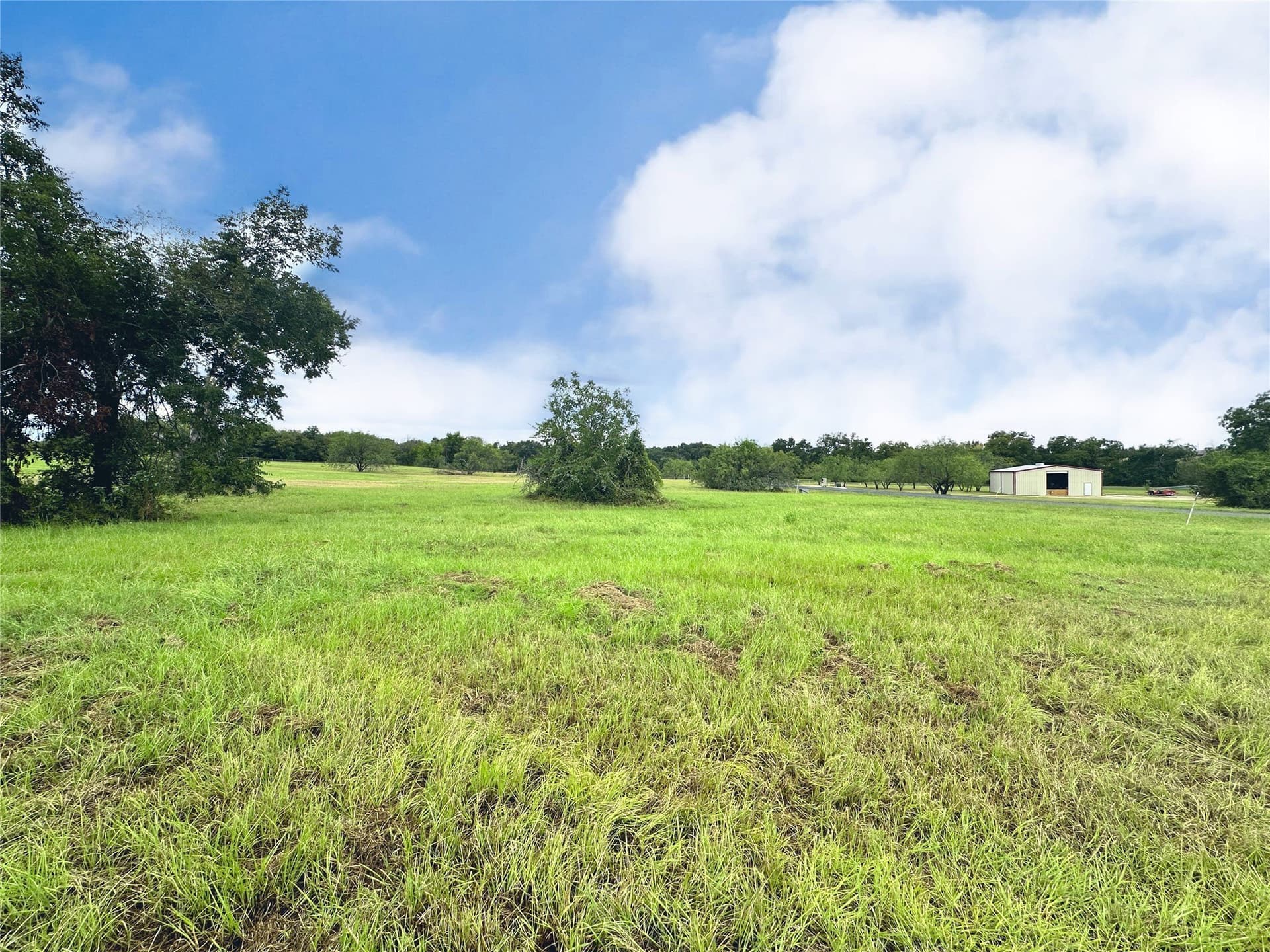 1.12 acres in Navarro County - photo 6