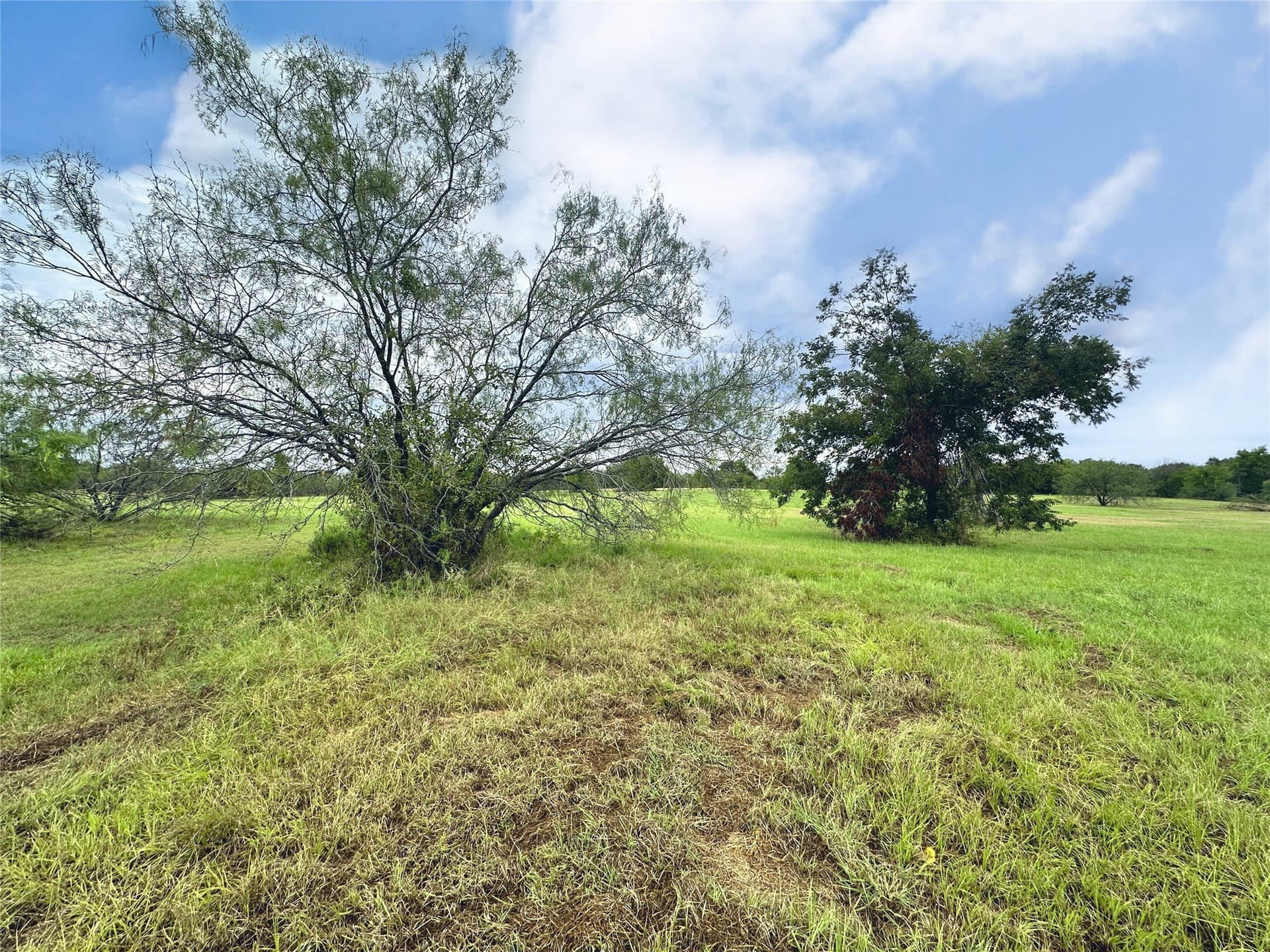 1.12 acres in Navarro County - photo 12