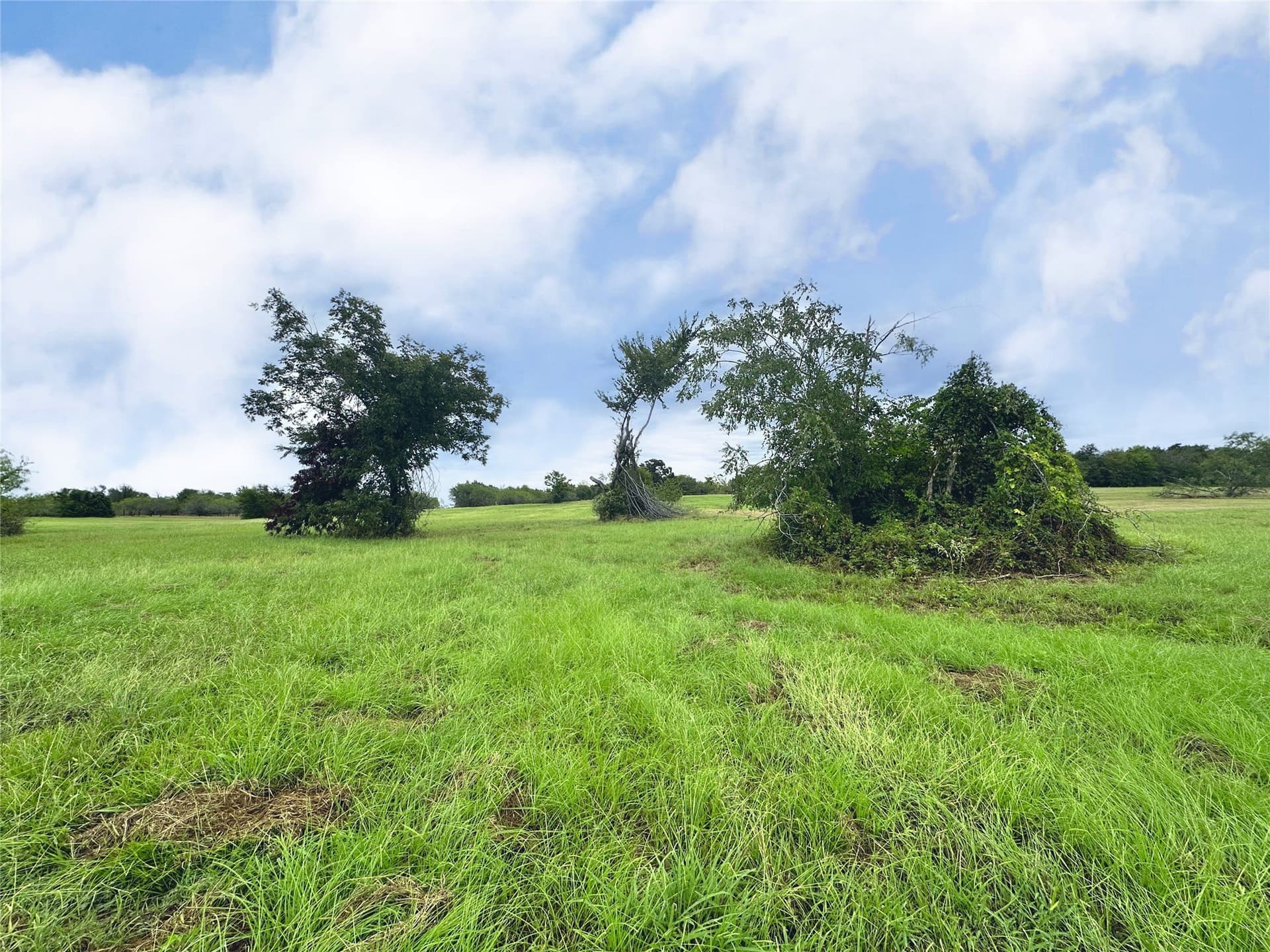 1.12 acres in Navarro County - photo 22