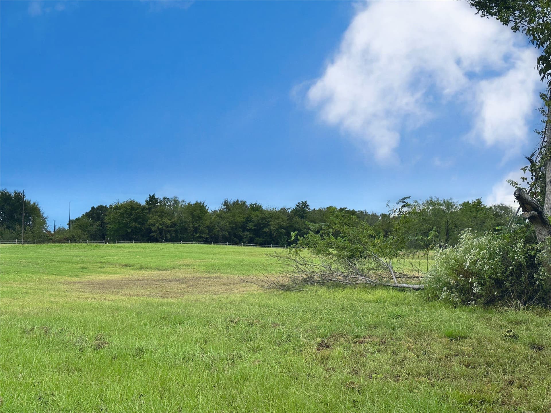 1.12 acres in Navarro County - photo 18