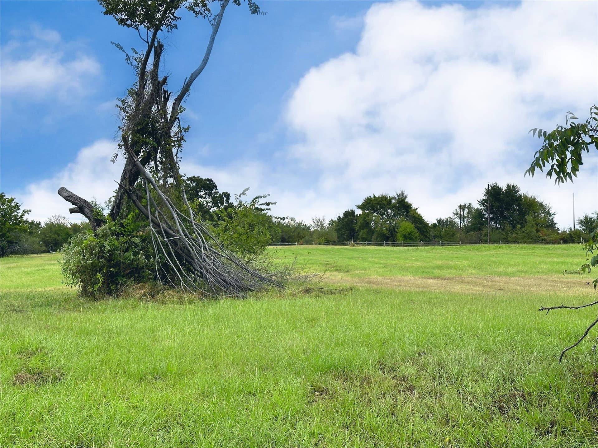 1.12 acres in Navarro County - photo 10