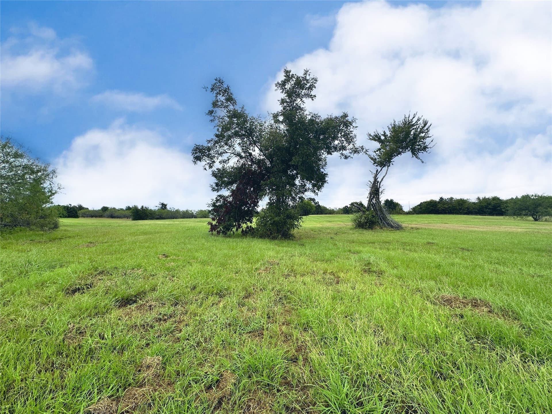 1.12 acres in Navarro County - photo 17