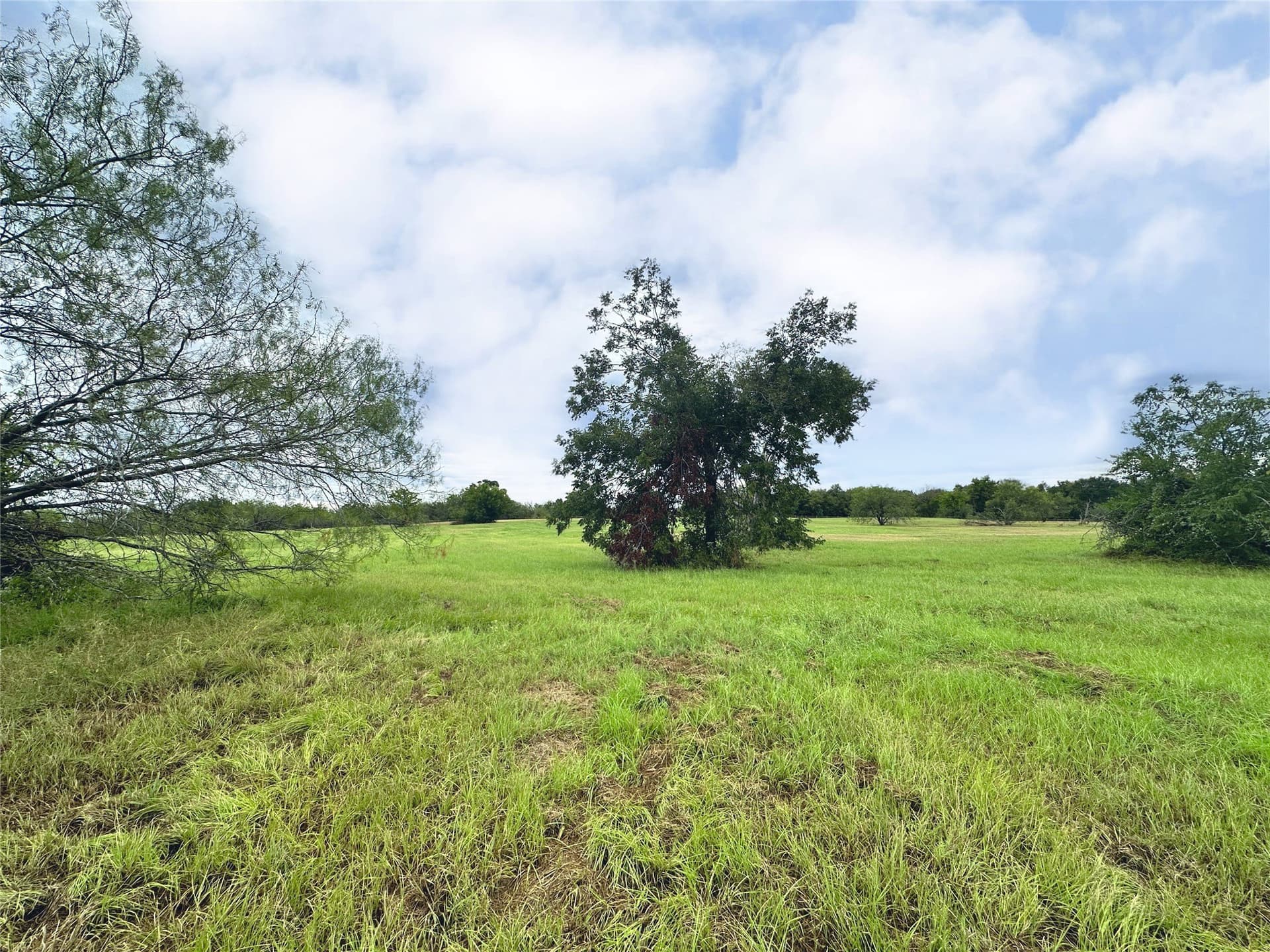 1.12 acres in Navarro County - photo 8