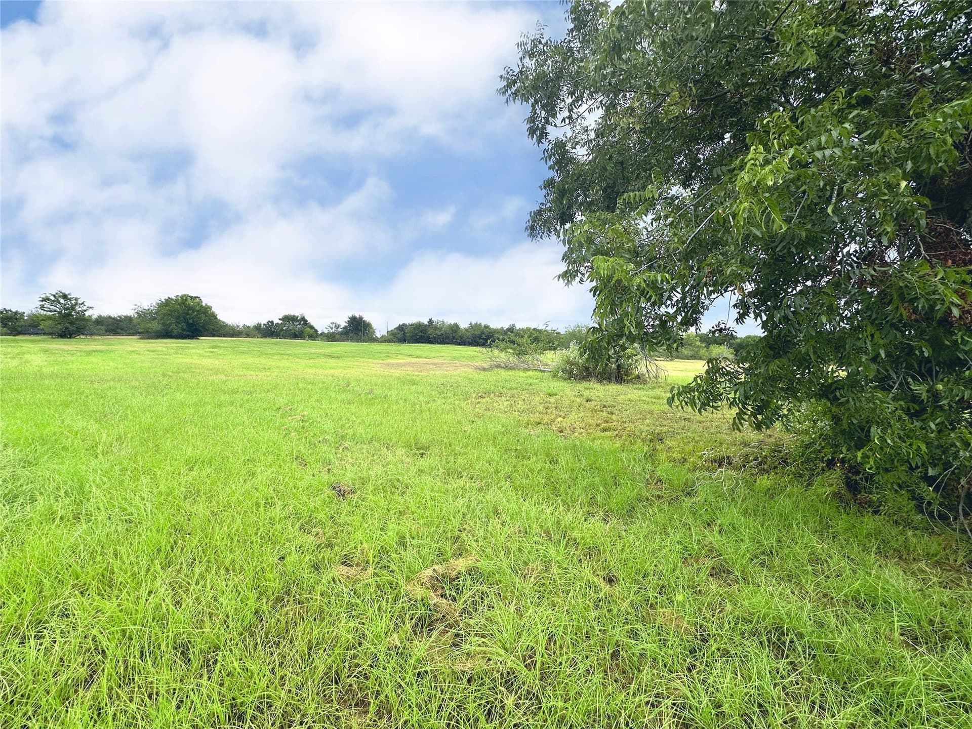 1.12 acres in Navarro County gallery image 3